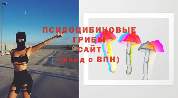 Альфа ПВП Алагир