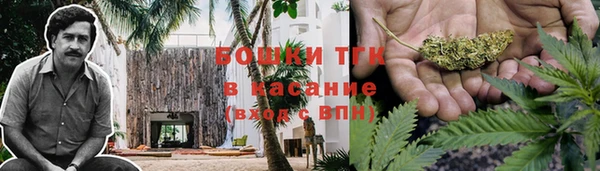 ECSTASY Медногорск