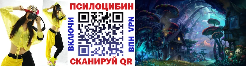 где купить наркотик  Приволжск  Галлюциногенные грибы GOLDEN TEACHER 